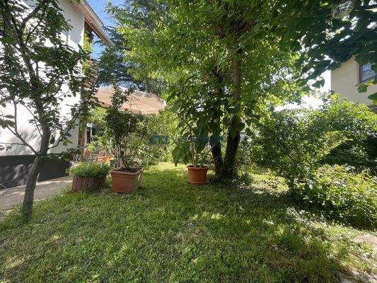 Gartenansicht mit schönem Baumbestand