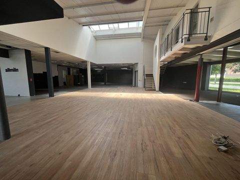 Singen Ladenlokale, Ladenflächen 