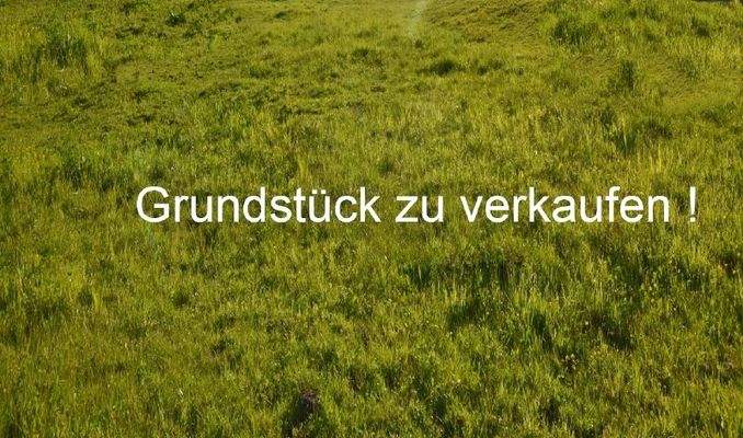 WDSC_0377 (1280x756)