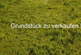 WDSC_0377 (1280x756)