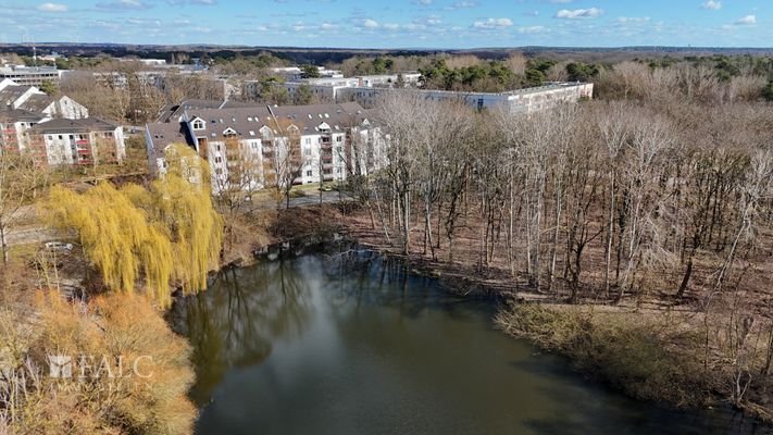 Blick vom Teich