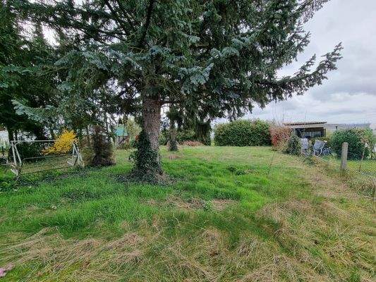 WhatsApp Bild 2024-04-05 um 08.22.22_9581dab8.jpg