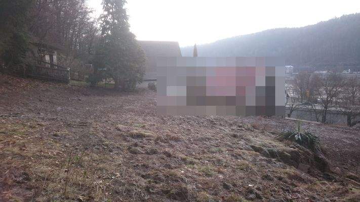 Blick zum Bahnhof Bad Schandau 