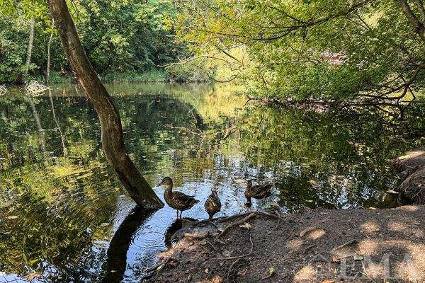 Ihr Ruhepool ndirekt vor der Haustür