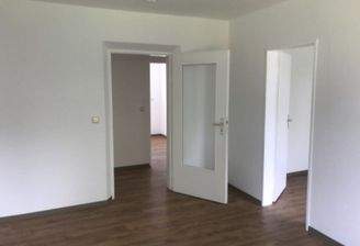 Blick in die helle Wohnung mit neuen Bodenbelägen in Holzoptik.jpg