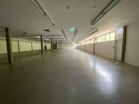 Nürnberg Halle, Nürnberg Hallenfläche