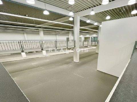 Erding Halle, Erding Hallenfläche