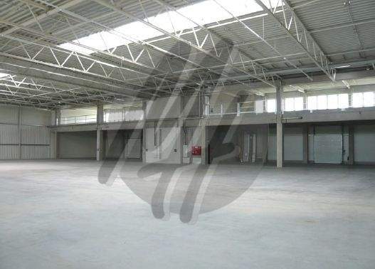 INFOS UNTER: 06171-586000