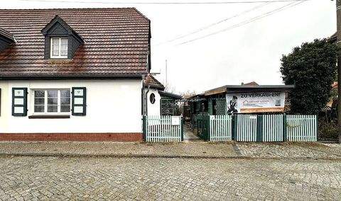 Wolfen Häuser, Wolfen Haus kaufen