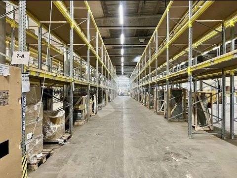 Dortmund Halle, Dortmund Hallenfläche