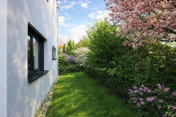 Seitenansicht (saisolanle Anpassung durch KI)