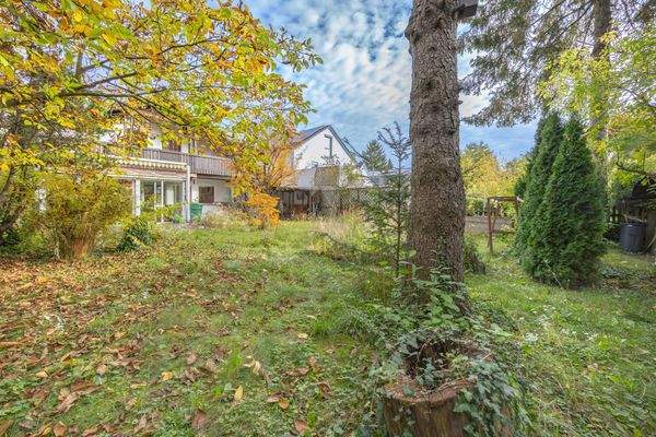 Eingewachsener Garten