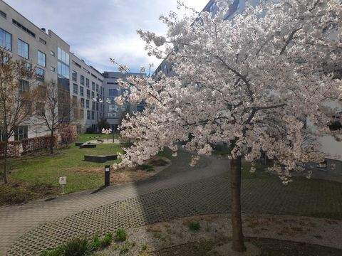 München Wohnungen, München Wohnung kaufen