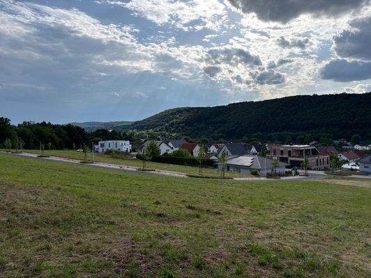 WhatsApp Image 2025-07-10 at 09.23.31 (3)