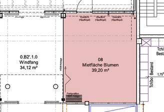 famila Buchholz Lindenstraße Freifläche.png