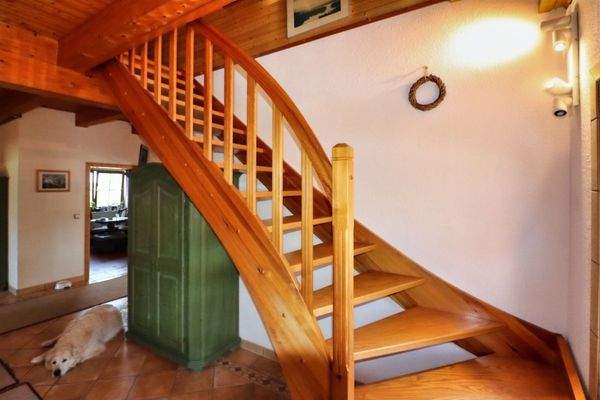 Aufgang DG (Verkauf erfolgt ohne Hund!)