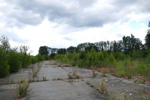 Bauland        .jpeg