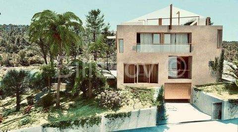 Solta Bauernhöfe, Landwirtschaft, Solta Forstwirtschaft