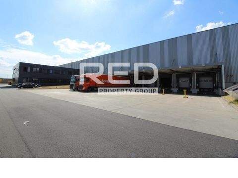 Duisburg Halle, Duisburg Hallenfläche