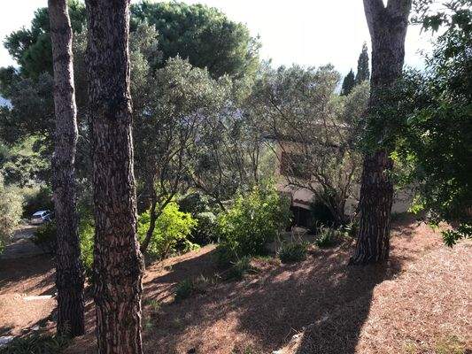 Geschützte Gärten in der Anlage