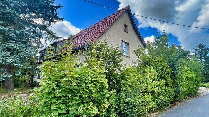 seitliche Hausansicht