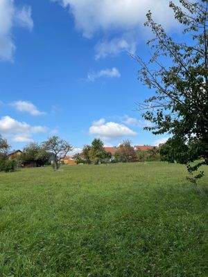 Grundstück Blickrichtung vom Garten zum Haus
