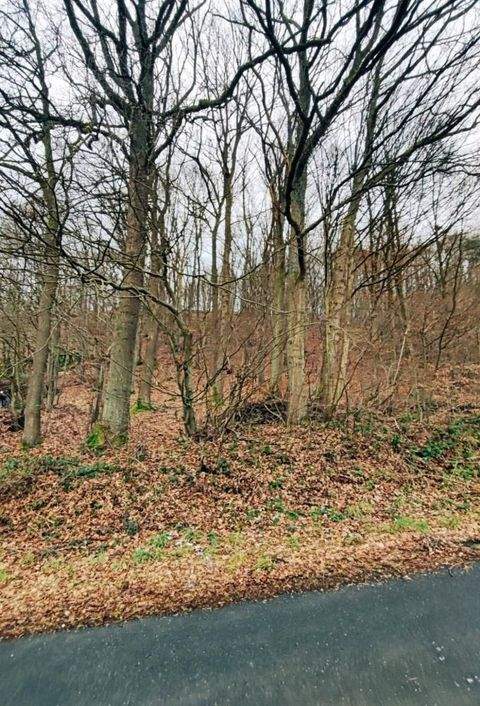 Windeck Grundstücke, Windeck Grundstück kaufen