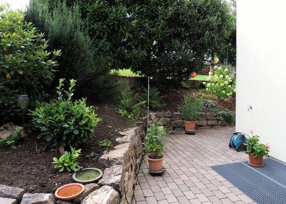 Zugang Hausrückseite