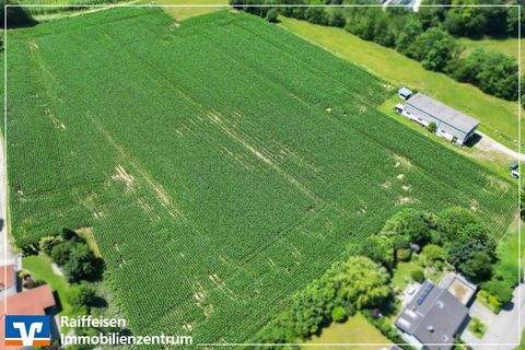 Straubing Bauernhöfe, Landwirtschaft, Straubing Forstwirtschaft