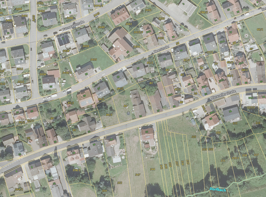 Flst. 84 (geoportal-bw1) 1