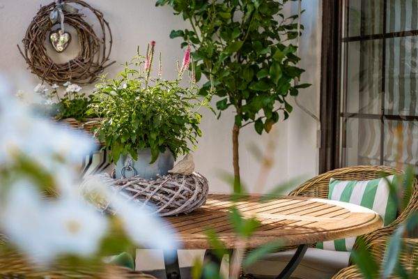 Anwesen Park Impressionen