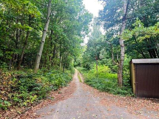 Wald hinter dem Grundstück