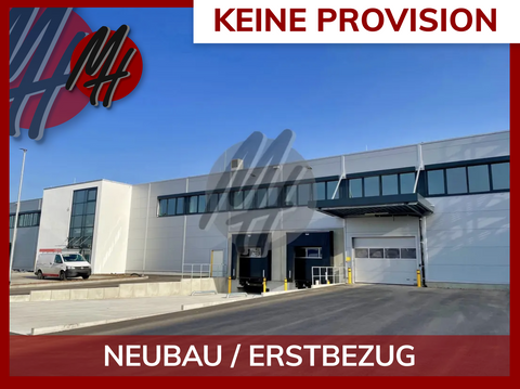 Walldorf Halle, Walldorf Hallenfläche