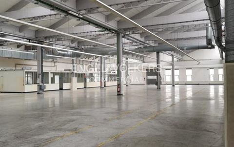Hannover Halle, Hannover Hallenfläche