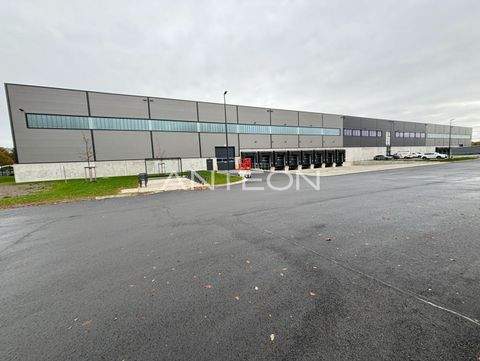 Lünen Halle, Lünen Hallenfläche