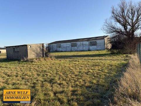 Domsühl Halle, Domsühl Hallenfläche