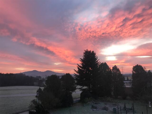 View from Living room