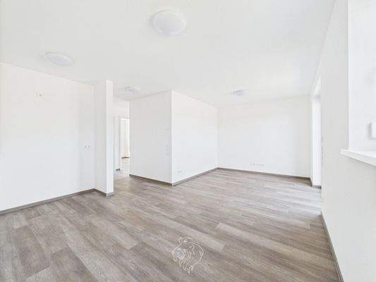 Wohnbereich mit integrierter Küche