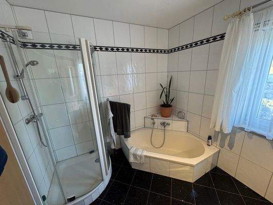 Bad EG, Dusche, Badewann