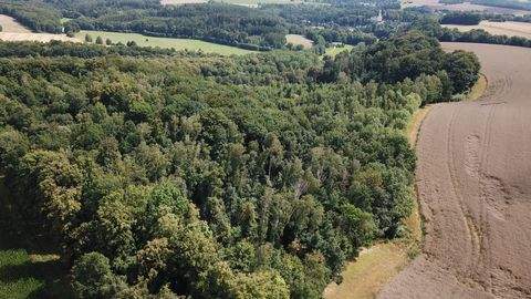 Penig Bauernhöfe, Landwirtschaft, Penig Forstwirtschaft