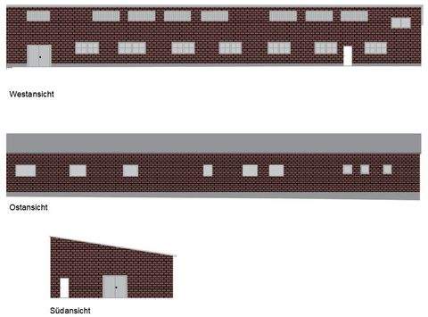 Ilmenau Halle, Ilmenau Hallenfläche