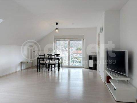 Haibach Wohnungen, Haibach Wohnung mieten