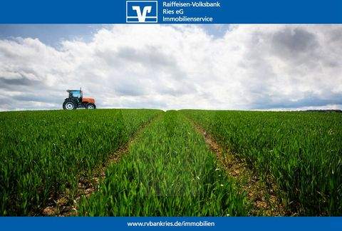 Nördlingen/Grosselfingen Bauernhöfe, Landwirtschaft, Nördlingen/Grosselfingen Forstwirtschaft