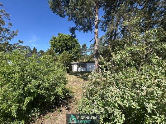 Einsicht Grundstück