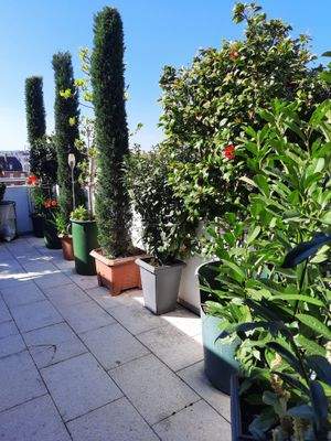 20240411_105333 - Kopie.jpg