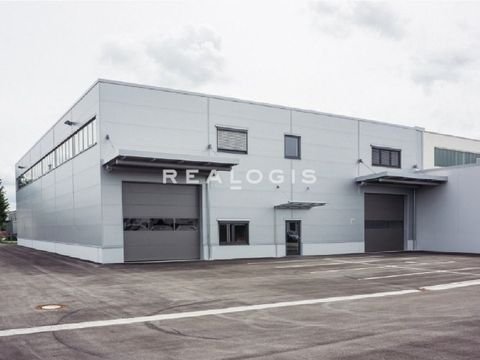 Reinheim Halle, Reinheim Hallenfläche