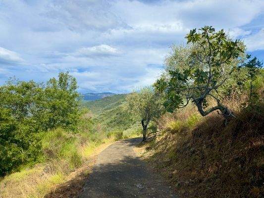 AP976_20 TERRA ITALIA IMMOBILIEN_TERRA ITALIA IMMO