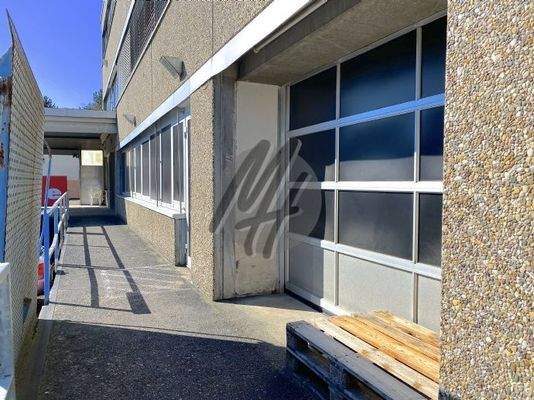 INFOS UNTER: 06171-586000