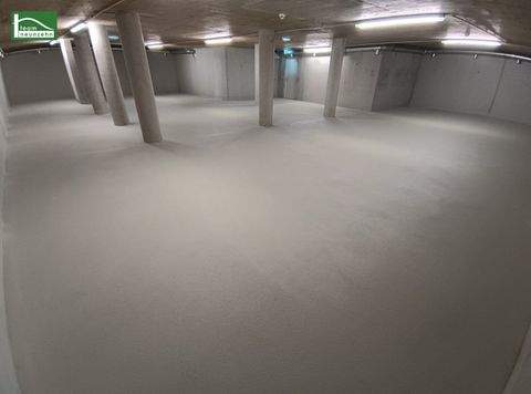 St. Pölten Halle, St. Pölten Hallenfläche