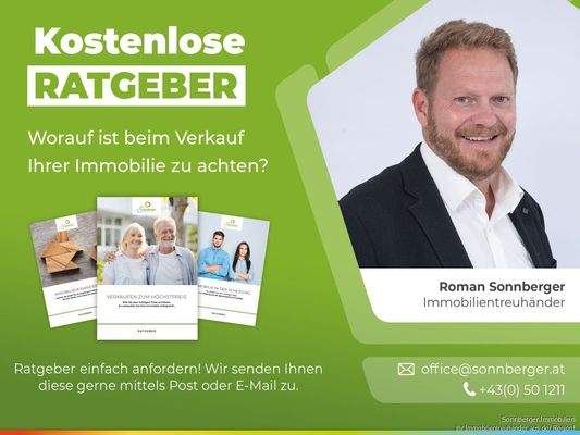 Portalwerbung-Roman
